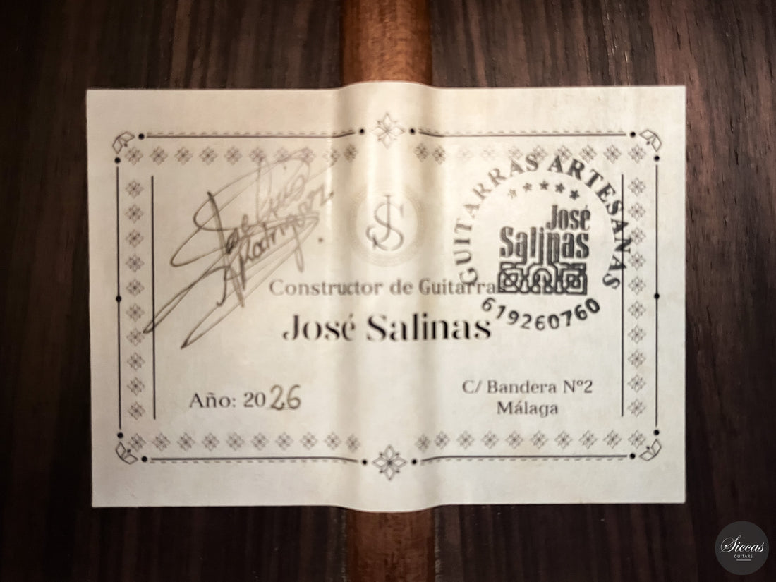José Salinas - 2026 Cedar 64 cm