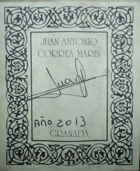 Juan Antonio Correa Marín - 2013 img-2