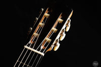 Karel Dedain - 2024 - Arias - Neck and tuner thumbnail