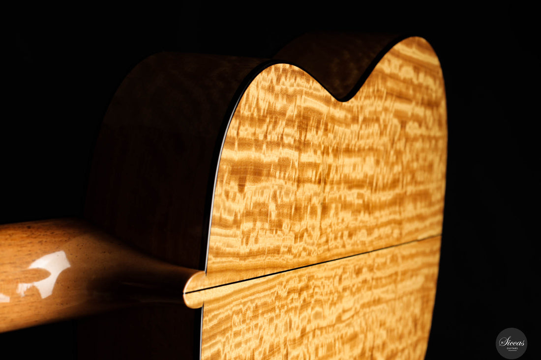 Karel Dedain - 2024 - Arias - Back and sides