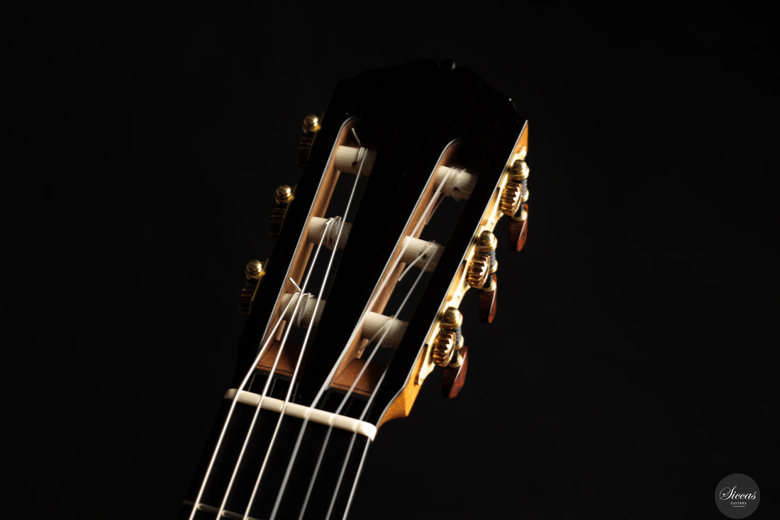 Lisa Weinzierl - 2025