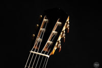 Lisa Weinzierl - 2025