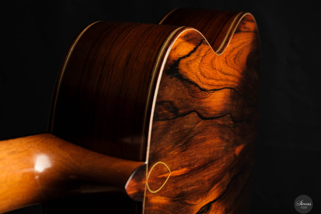 Lorenzo Frignani - 2025 No. 268 - REG 2025 Limited Edition
