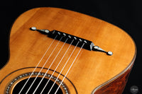 Louis Panormo - 1850 No. 1978 63 cm