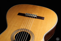 Luca Pollastro - 2024 No. 12 REG 2024 Limited Edition
