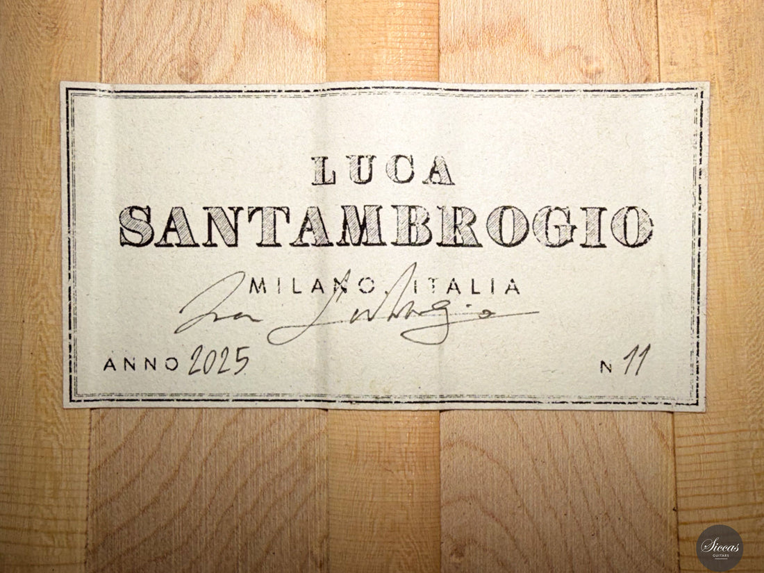 Luca Santambrogio - 2025 Torres FE24 1867