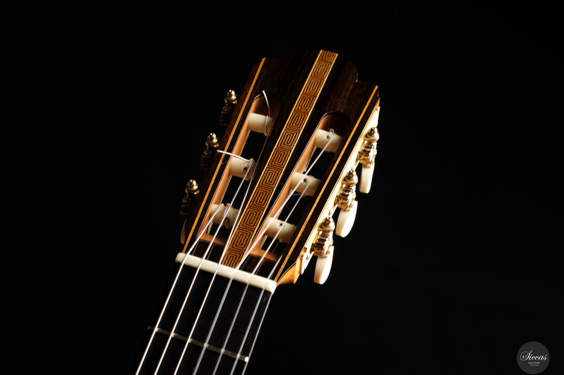 Luca Santambrogio - 2025 Torres FE24 1867