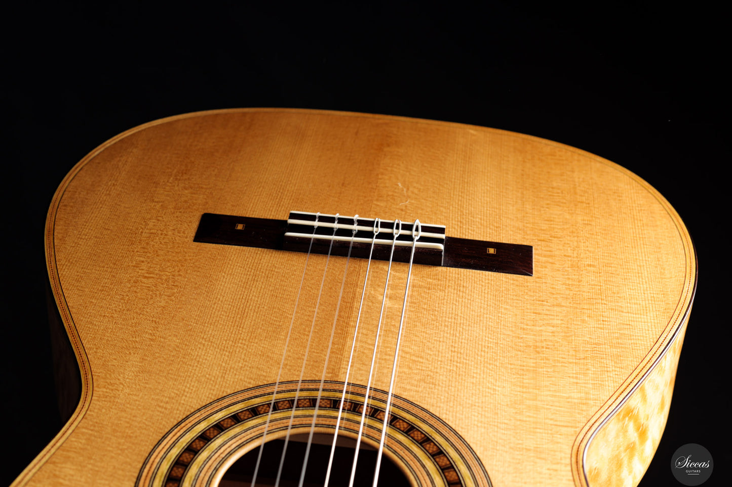 Luca Santambrogio - 2025 Torres FE24 1867