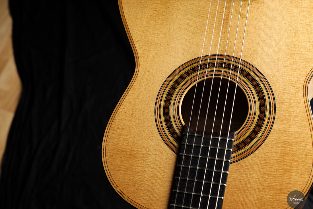 Luca Santambrogio - 2025 Torres FE24 1867