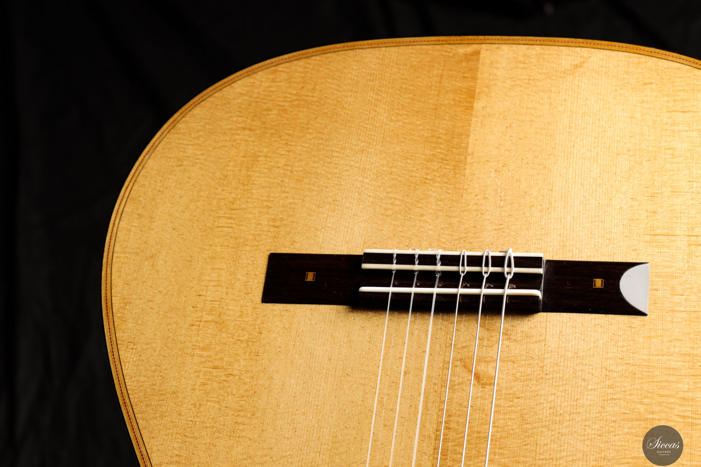 Luca Santambrogio - 2025 Torres FE24 1867