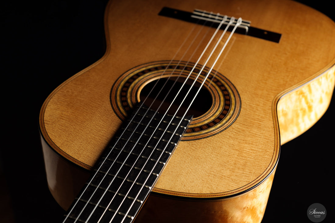 Luca Santambrogio - 2025 Torres FE24 1867