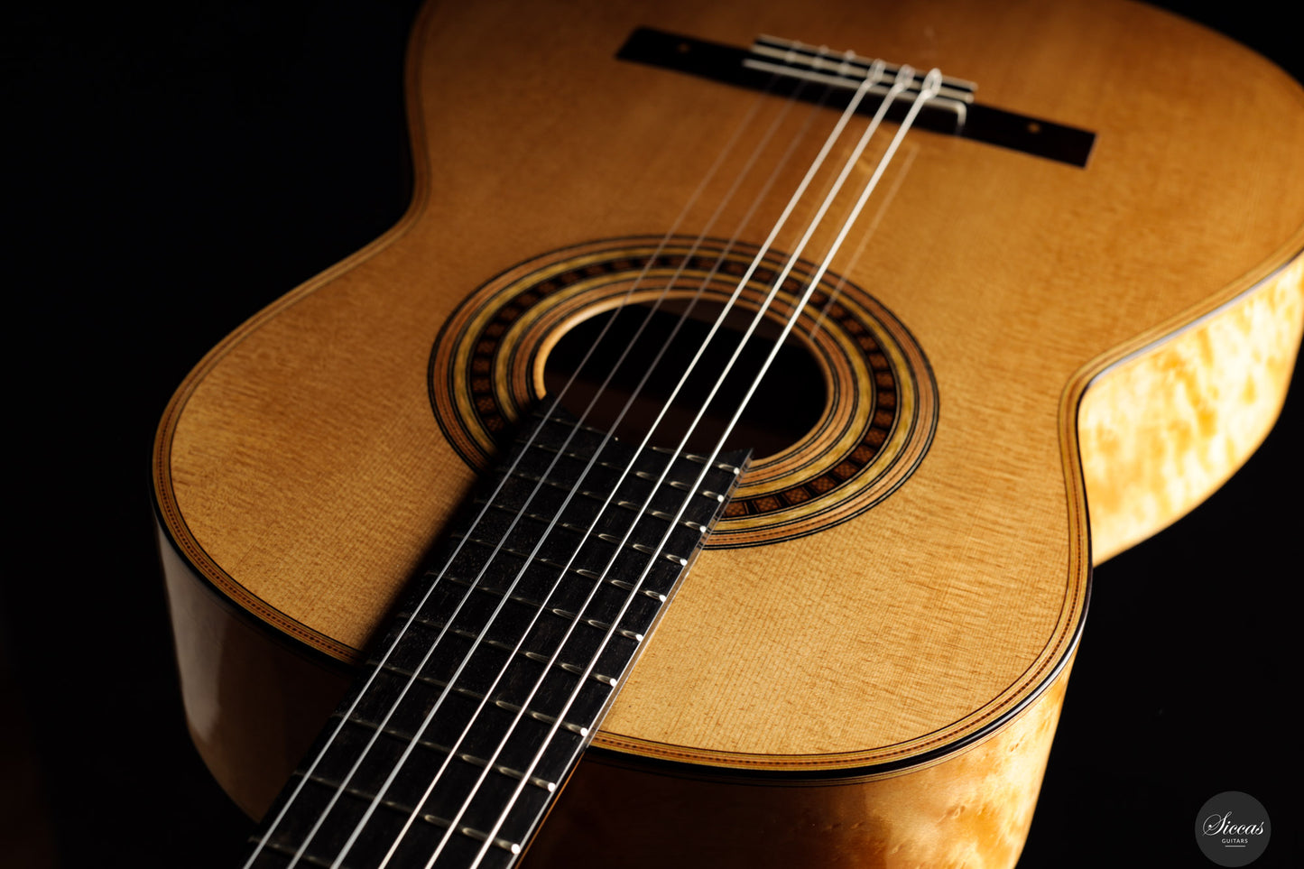 Luca Santambrogio - 2025 Torres FE24 1867