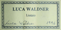 Luca Waldner - 1996