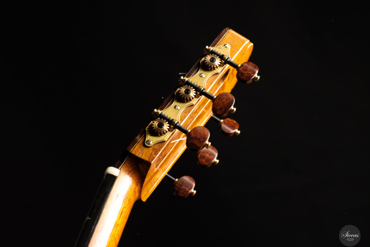 Luciano Lovadina - 2019