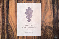 Marco Bortolozzo - 2025 No. 117 ON HOLD