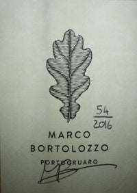 Marco Bortolozzo - 2016