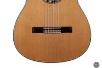 Marco Dissegna - 2024 REG 2024 Limited Edition