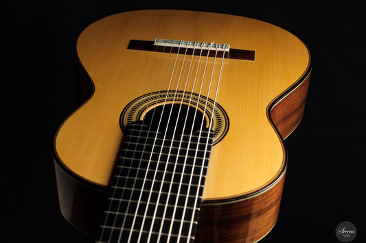 Marco Maguolo - 2022 - Ducale 10 strings Nr.279
