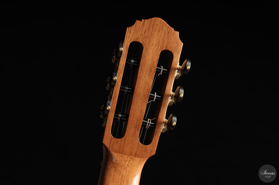 Marcos Domato Fernàndez - 2026 Concert Model No. 13