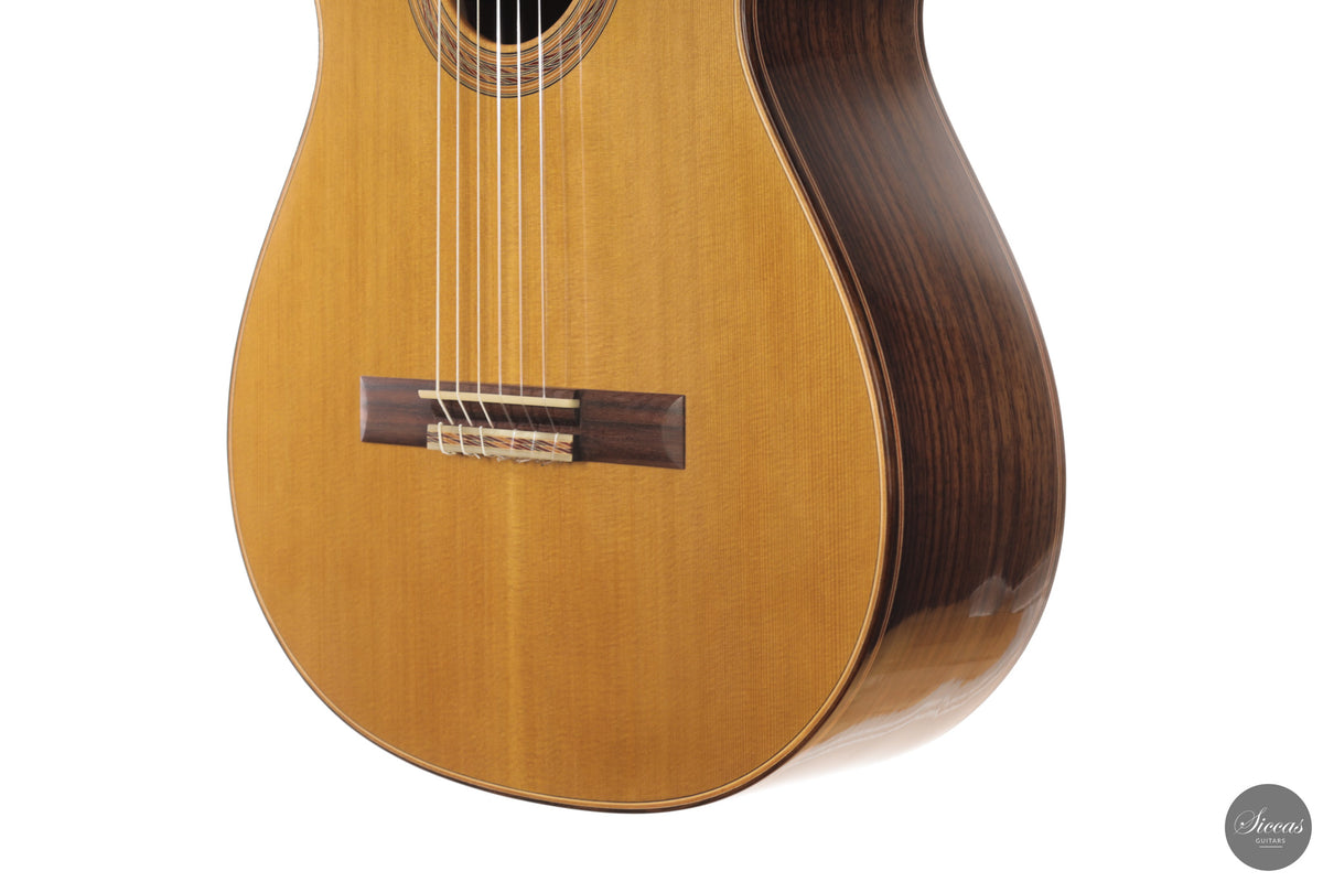Marcos Domato Fernàndez - 2026 Concert Model No. 13