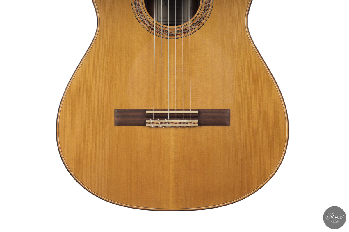 Marcos Domato Fernàndez - 2026 Concert Model No. 13
