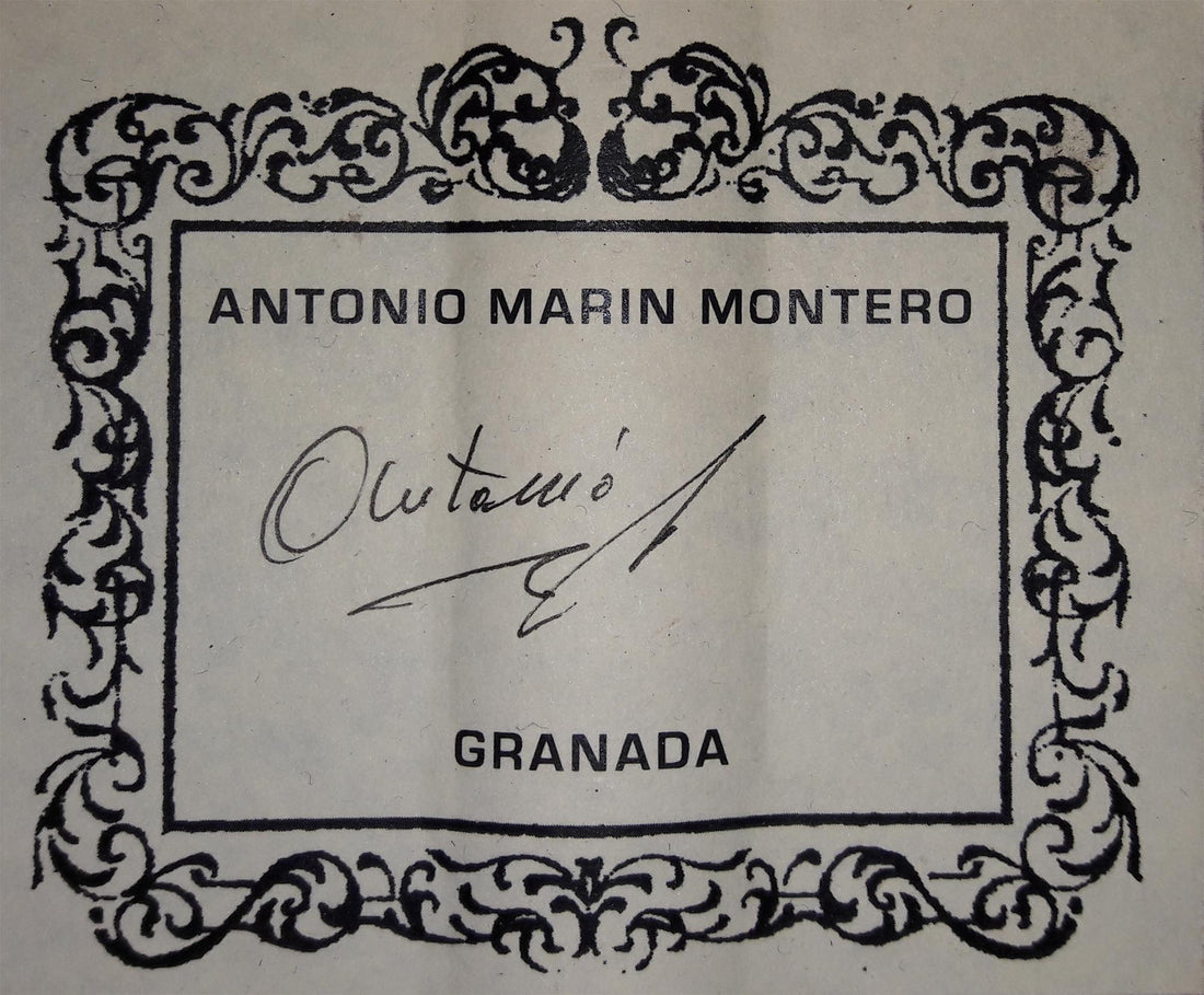 Antonio Marin Montero - Bouchet 2016