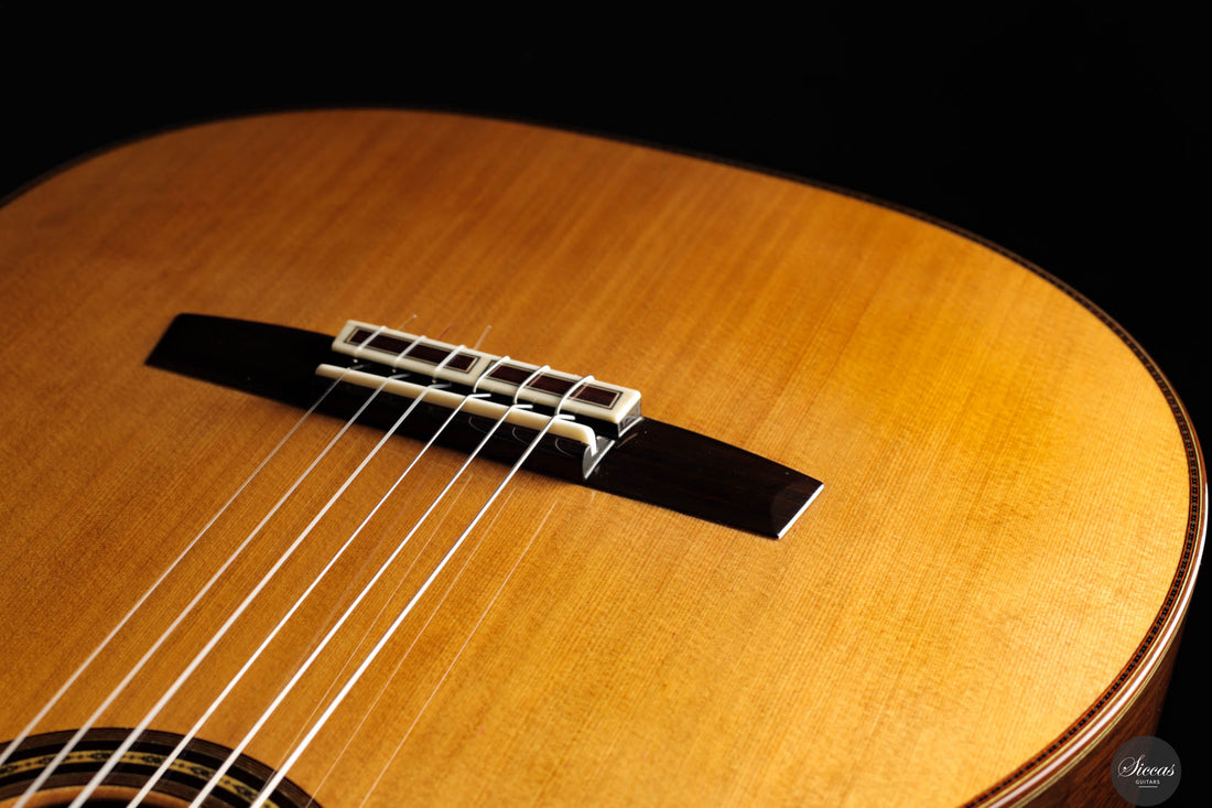 Masaki Sakurai - 2025 Maestro-RF Cedar 64 cm