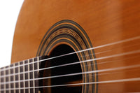 Michael Brey - 2016 64,5cm