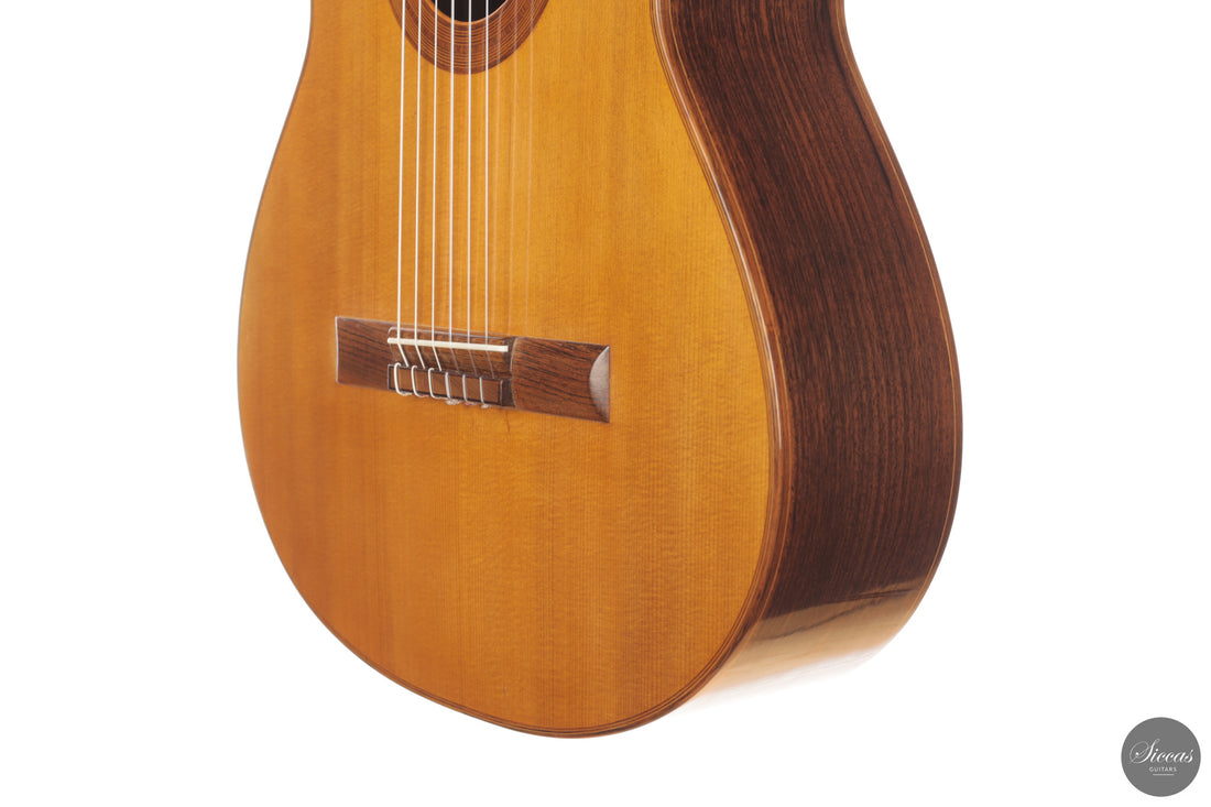 Michel Brück - 1993 Solid Top No. 17