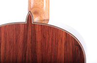 Milestones - Dammann Modell