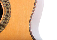 Milestones - Dammann Modell