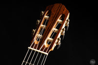 Mirko Migliorini - 2025 No.432