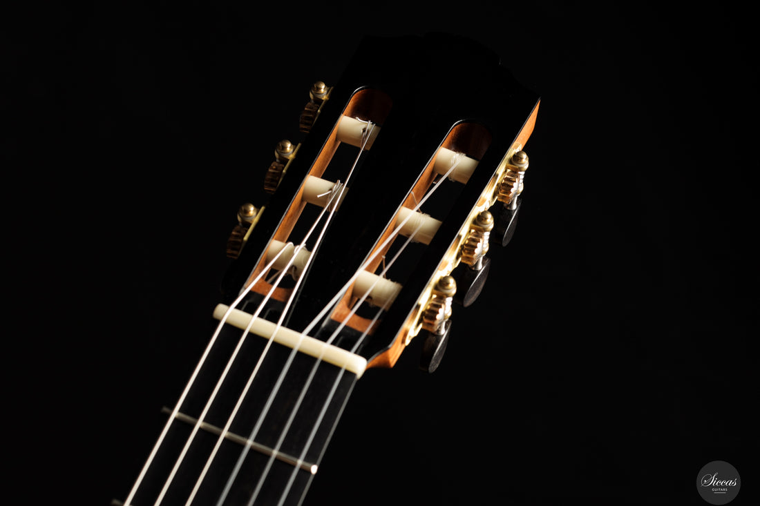 Nils Schebesta - 2026