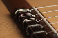 Olivier Fanton d'Andon - 2010