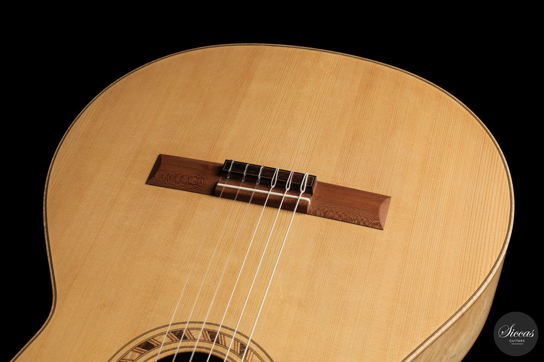 Olivier Fanton d'Andon - 2010