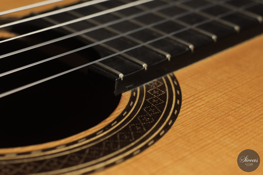 Paco Santiago Marin - 2019 No. 395 XXX Aniversario