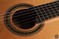 Patrick Mailloux - 2026 Palomée Doubletop 64 cm