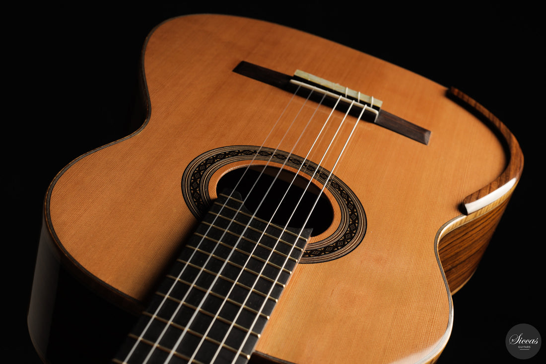 Patrick Mailloux - 2026 Palomée Doubletop 64 cm
