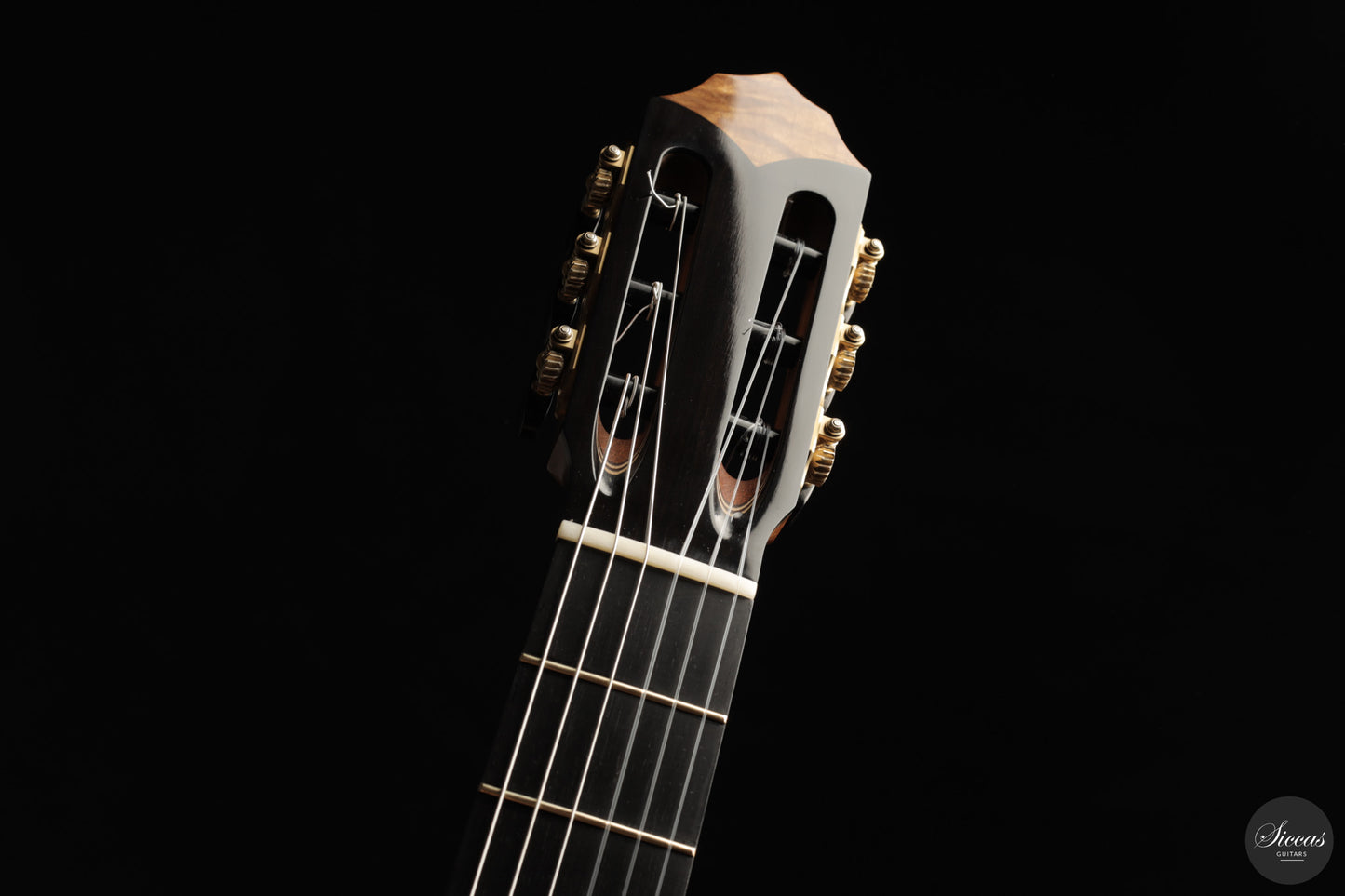 Patrick Mailloux - 2026 Palomée Doubletop 64 cm