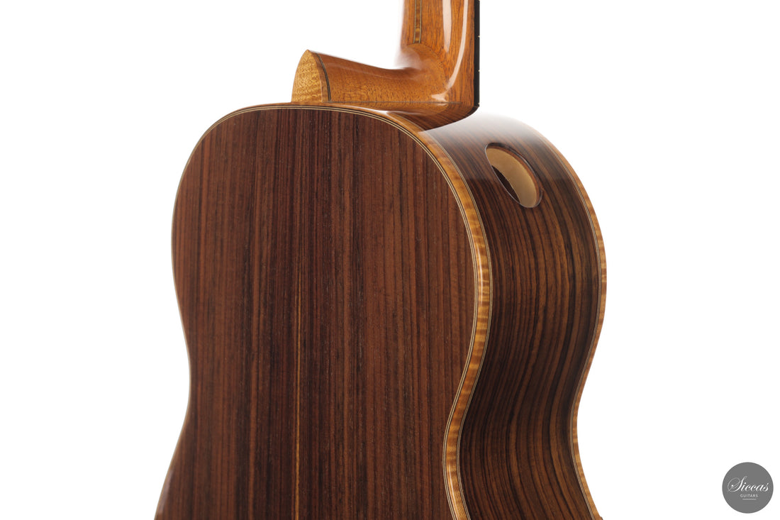 Patrick Mailloux - 2026 Palomée Doubletop 64 cm