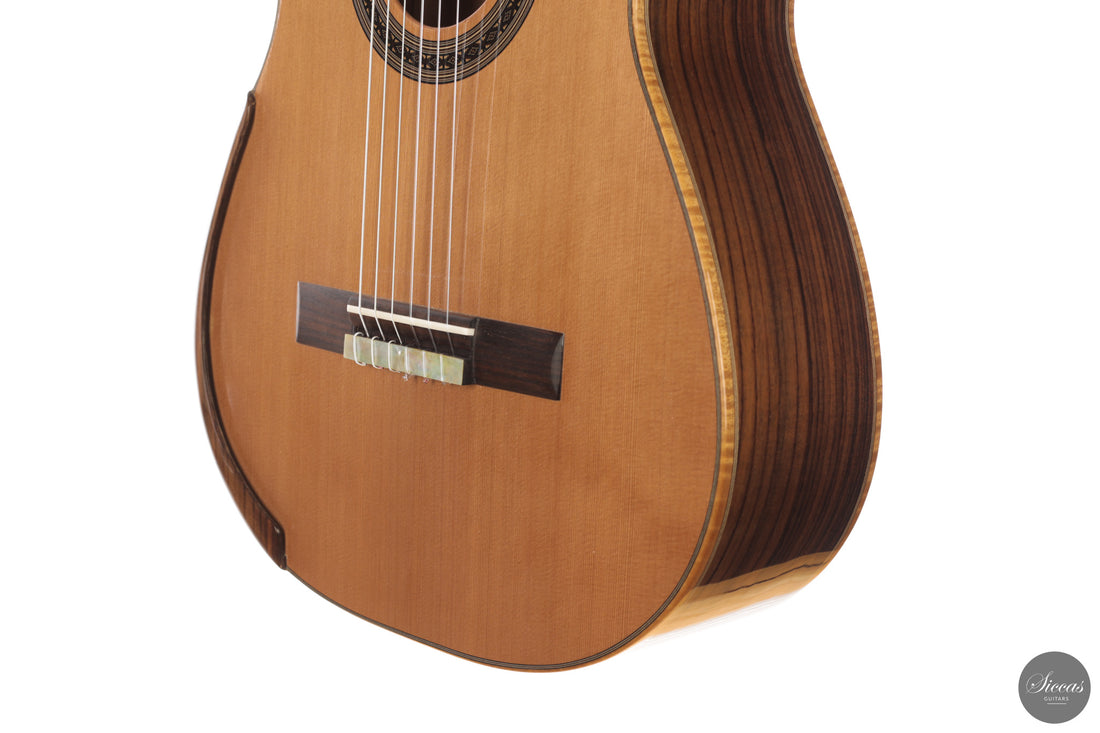 Patrick Mailloux - 2026 Palomée Doubletop 64 cm