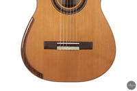 Patrick Mailloux - 2026 Palomée Doubletop 64 cm