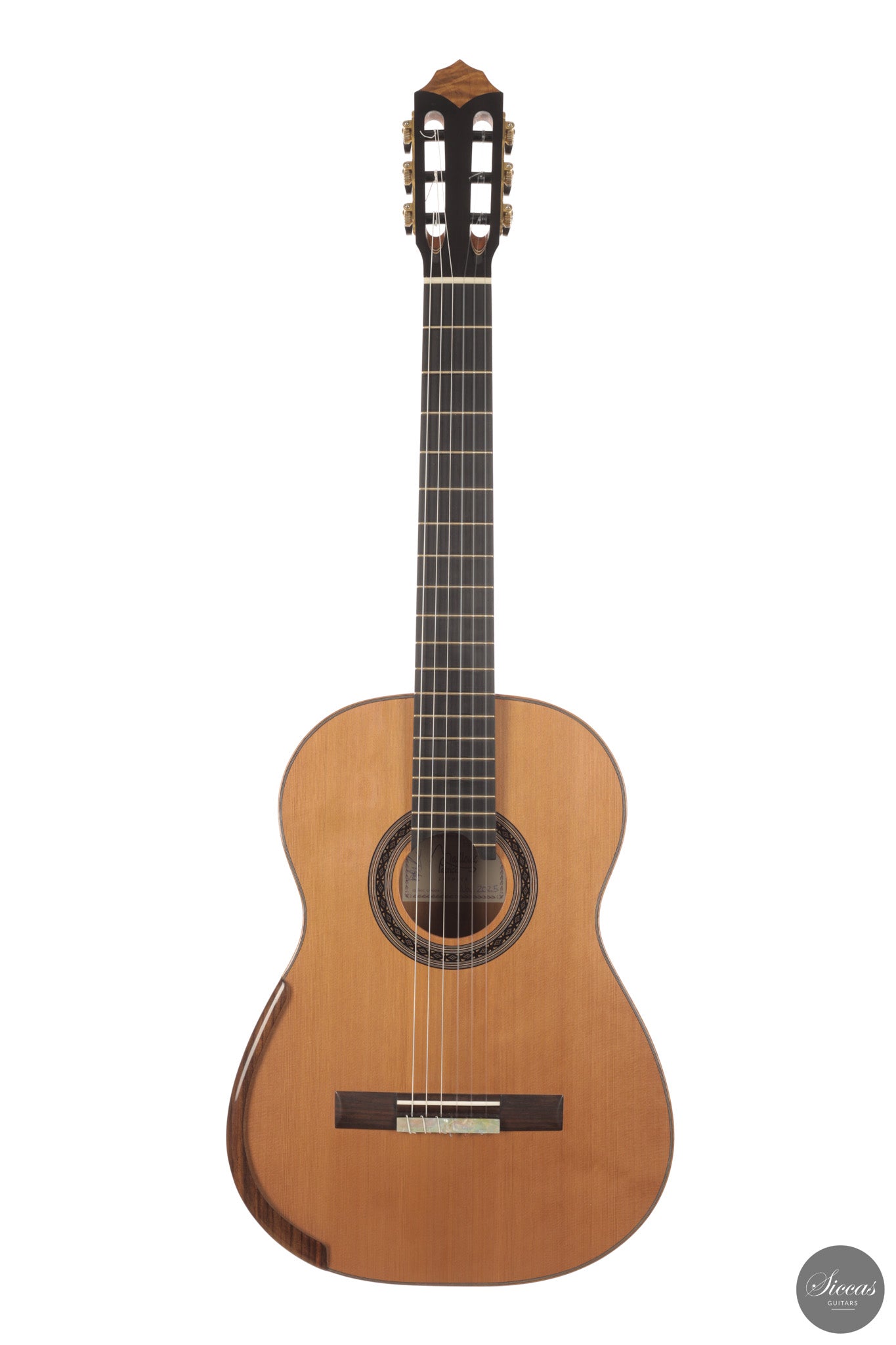 Patrick Mailloux - 2026 Palomée Doubletop 64 cm