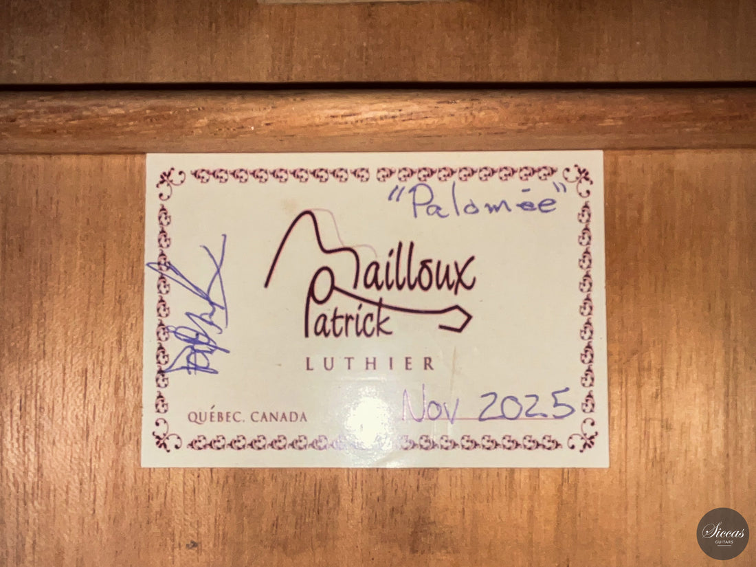 Patrick Mailloux - 2026 Palomée Doubletop 64 cm