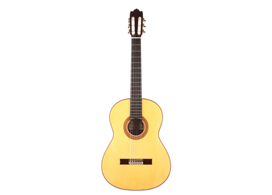 Paulino Bernabé - Concierto 2001