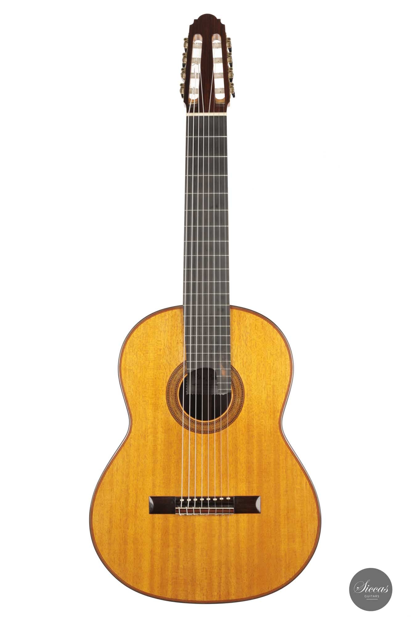 Petar Antic - 2015 8-string