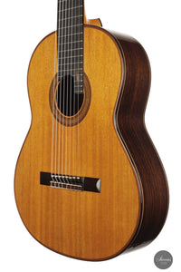 Petar Antic - 2015 8-string