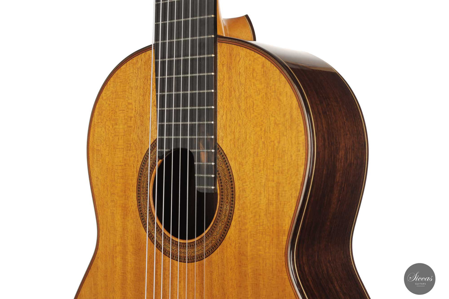 Petar Antic - 2015 8-string