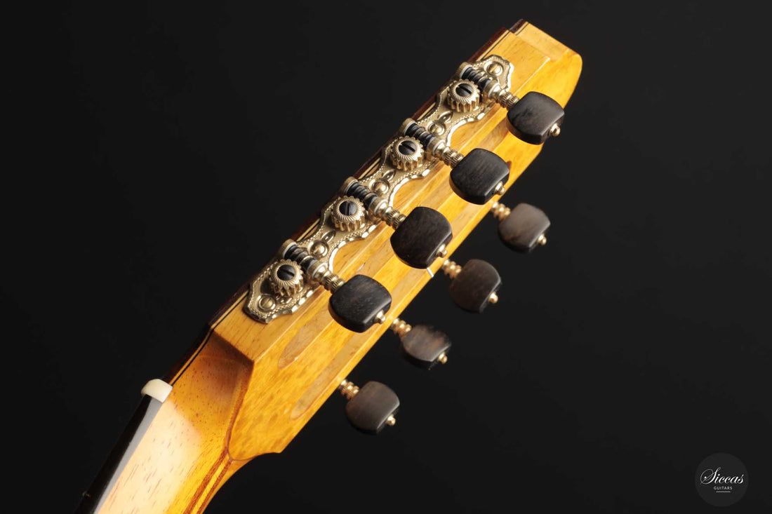 Petar Antic - 2015 8-string