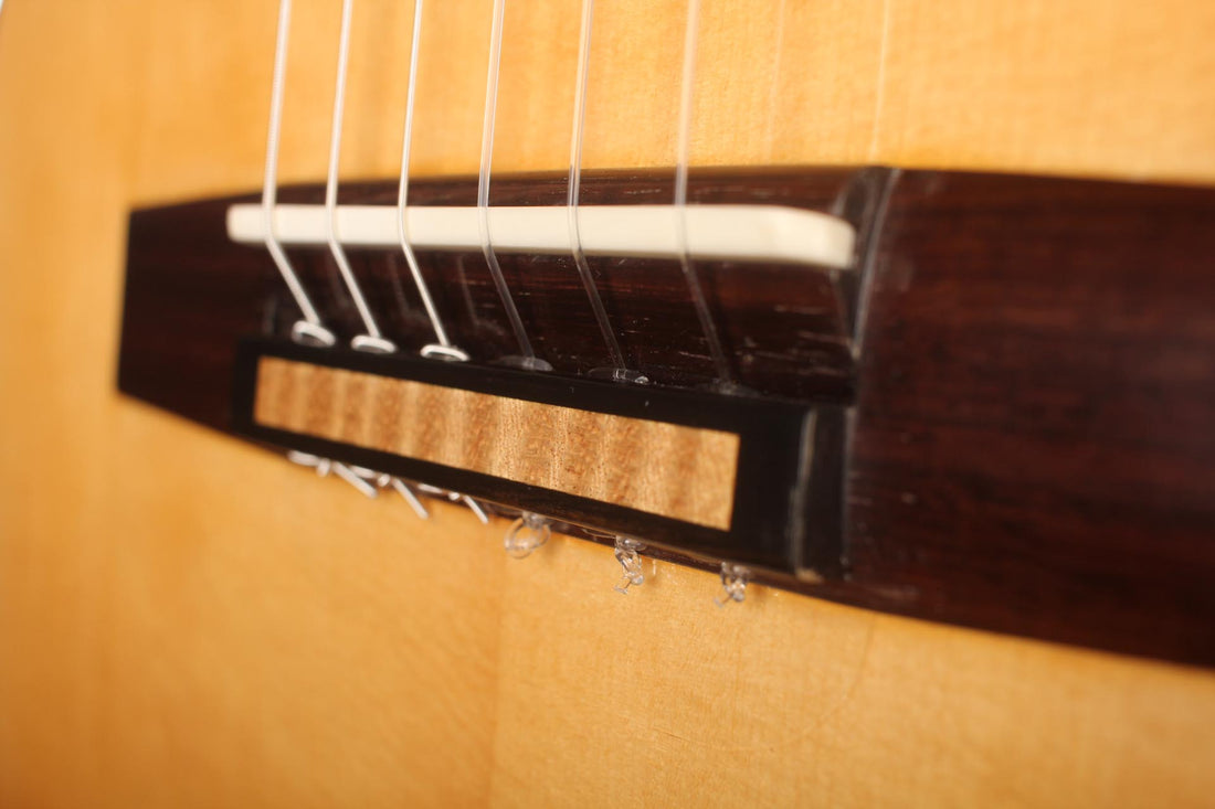 Rafael Moreno - 2016